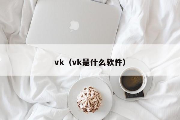 vk（vk是什么软件）