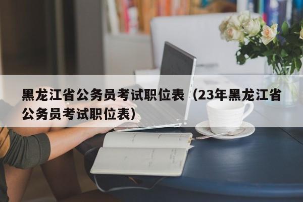 黑龙江省公务员考试职位表（23年黑龙江省公务员考试职位表）