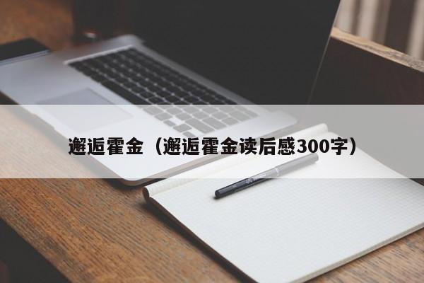 邂逅霍金（邂逅霍金读后感300字）